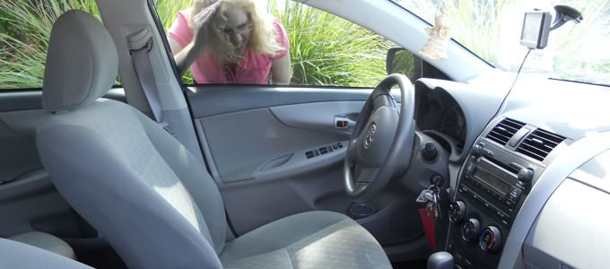 locked keys in car Ruskin florida